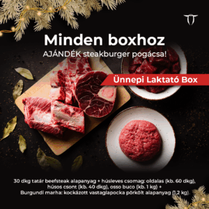 Ünnepi Laktató Box